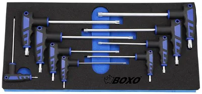Torxavainsarja T-kahvalla boxo